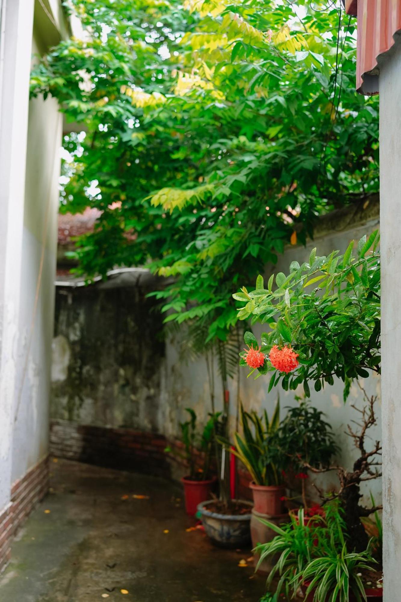 Morri Homestay - Quan Thanh Ανόι Εξωτερικό φωτογραφία