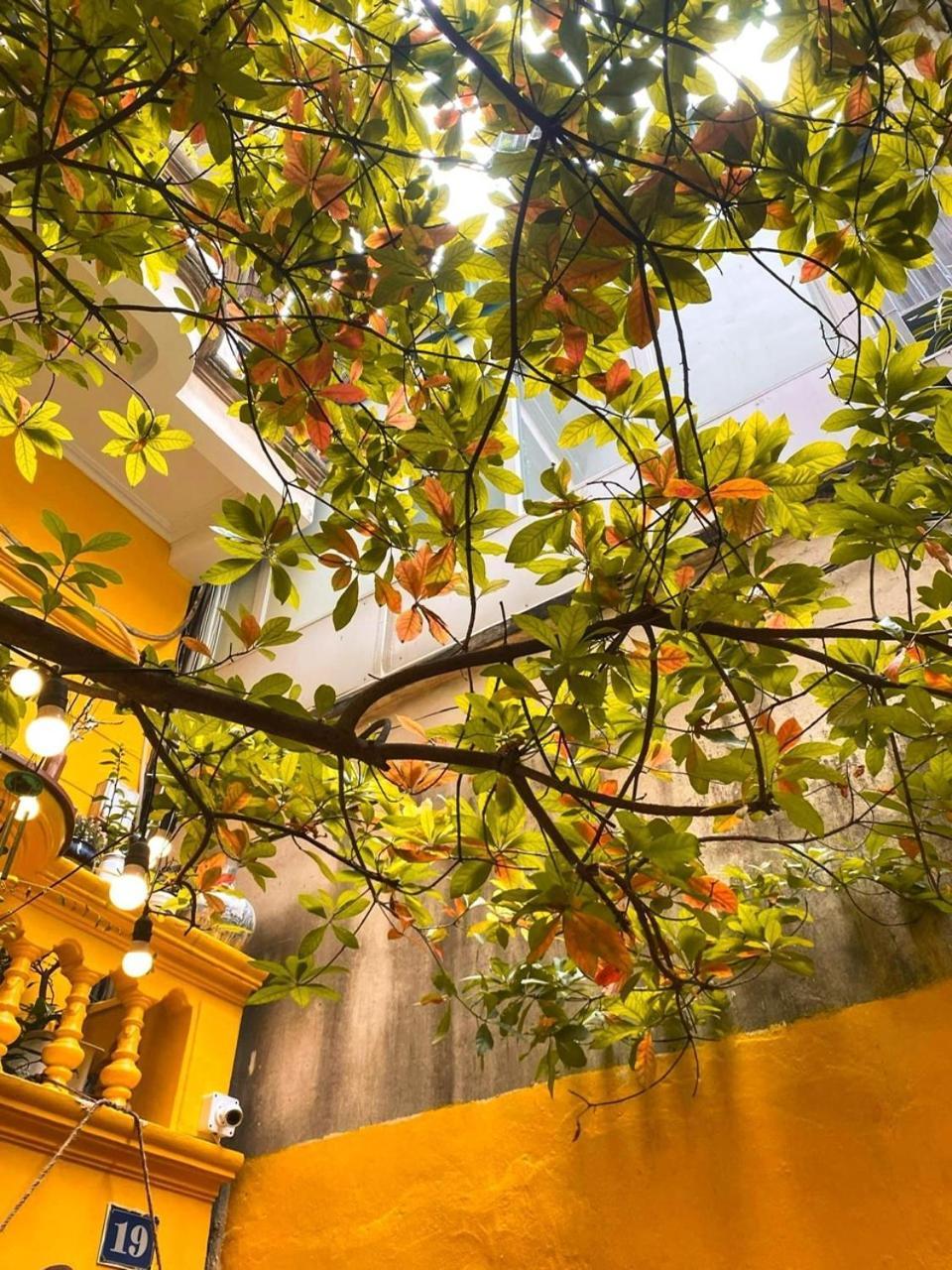 Morri Homestay - Quan Thanh Ανόι Εξωτερικό φωτογραφία